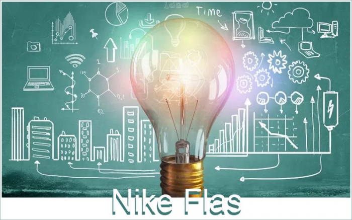 Nike Flas s.r.l.s.