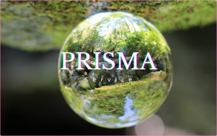 PRISMA Service